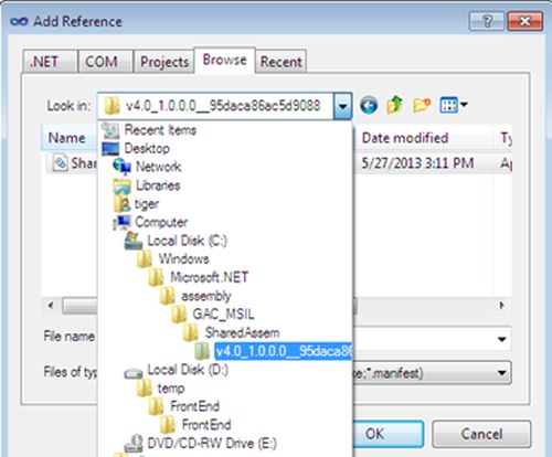 Consuming Shared Assembly